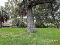 1992 PALM   Home