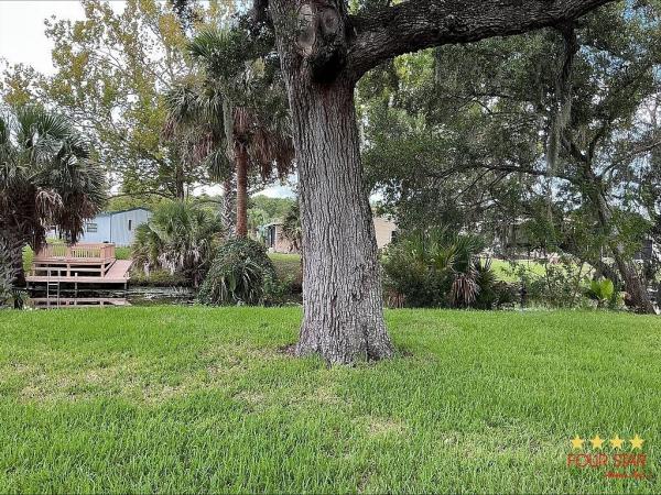 1992 PALM   Home