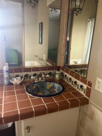 1987 Skyline Mobile Home