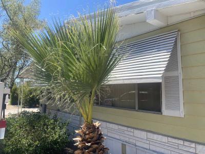 Mobile Home at 205 W Bell Rd Phoenix, AZ 85023