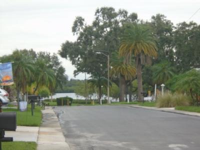 Photo 3 of 24 of home located at 3432 State Road 580, #Lot 230 Safety Harbor, FL 34695