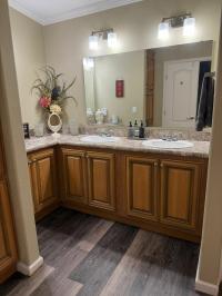 2017 Skyline Mobile Home