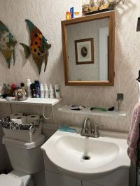 1976 PIED 0667152809A 0667152809B Mobile Home