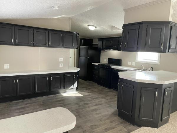 1997 Skyline Winner Mobile Home