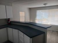 1977 Skyline Manufactured Home