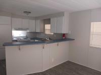 1977 Skyline Manufactured Home