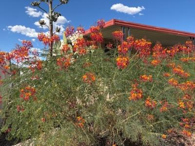 Photo 4 of 19 of home located at 4550 N. Flowing Wells Rd #129 Tucson, AZ 85705