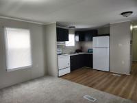2005 Patriot mobile Home