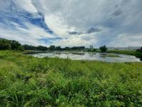 1989 PALM HARBOR Manufactured Home