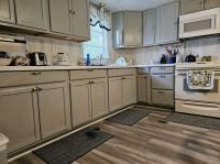 1973 SKYL Manufactured Home