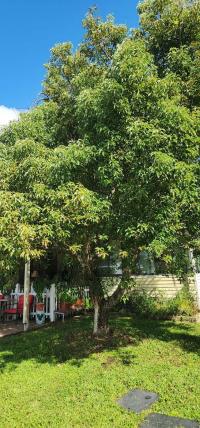 1988 PALM Manufactured Home