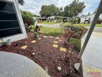 1993 PALM   Home