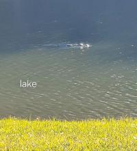 1988 Mobile home Mobile Home