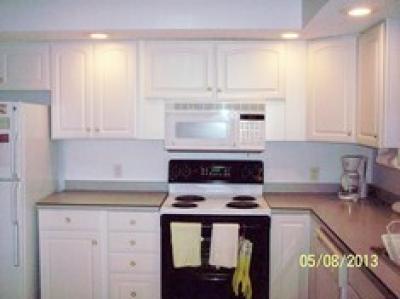 Photo 6 of 7 of home located at 111 Block Street Williamston, MI 48895