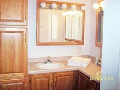 Photo 9 of 7 of home located at 111 Block Street Williamston, MI 48895