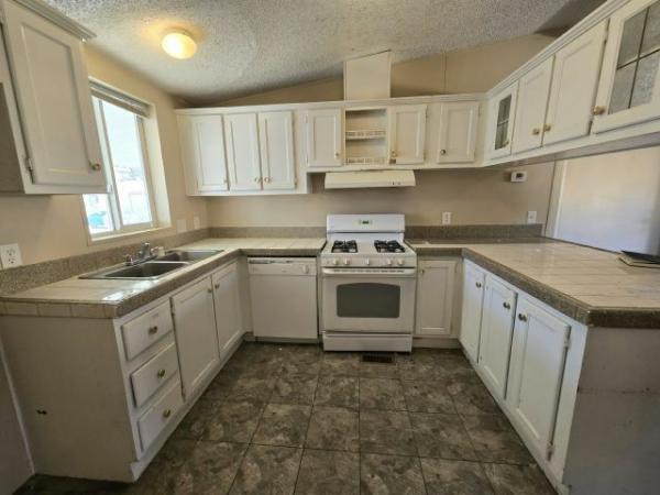 1998 SKYLINE Manufactured Home