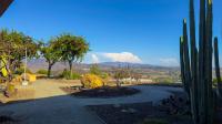 2025 Cavco 220CO28563P  Home