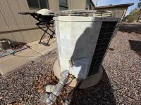 1984 Palm Harbor PALM HARBOR Mobile Home