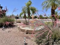 1984 Palm Harbor PALM HARBOR Mobile Home