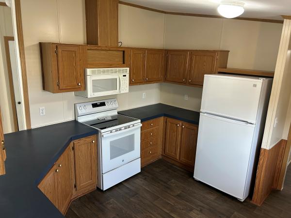 1999 Patriot NA Mobile Home