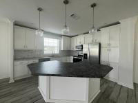 2025 Skyline - Ocala Silver Springs Mobile Home