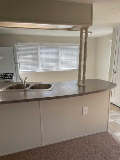 Photo 4 of 10 of home located at 22030 Duvalle #253 Romulus, MI 48174