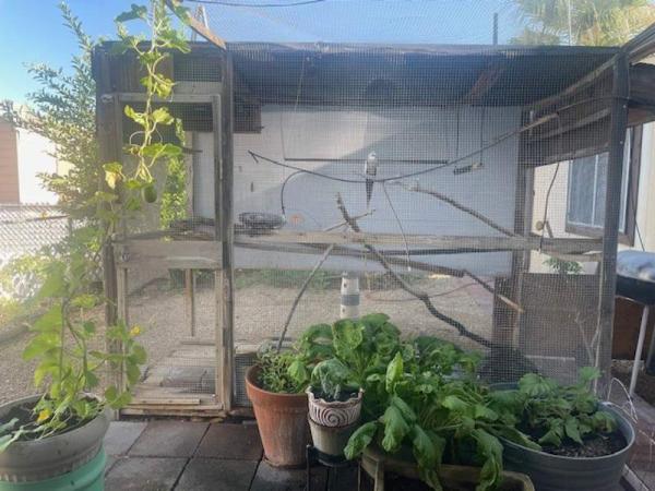 1982 Cavco Mobile Home For Sale