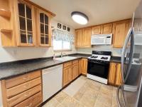 1981 Skyline Manufactured Home