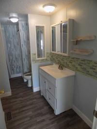 1988 Skyline Manufactured Home