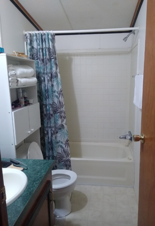 1994 Skyline Brookstone Mobile Home