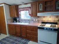 1994 Skyline Brookstone Mobile Home