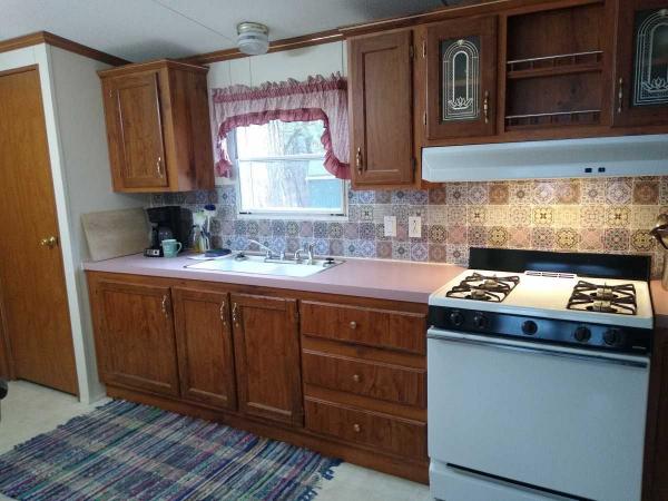 1994 Skyline Brookstone Mobile Home