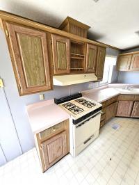 Skyline Manufactured Home