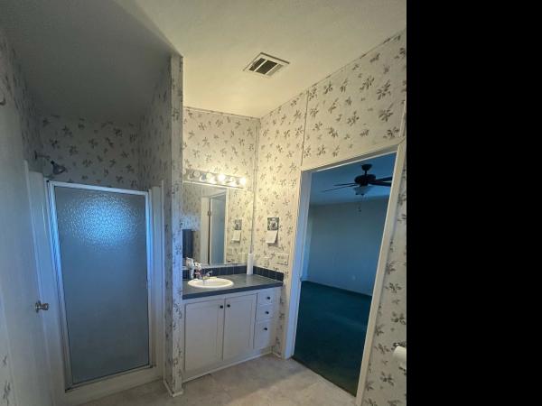 2002 Skyline Mobile Home