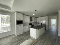 2025 Skyline - Ocala Seaside Mobile Home