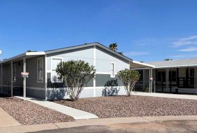 Mobile Home at 245 S 56th St #233 Mesa, AZ 85206