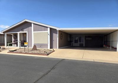 Photo 4 of 20 of home located at 3700 S Ironwood Drive, #119 Apache Junction, AZ 85120