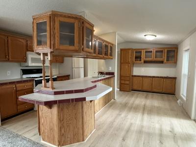 Mobile Home at 1125 Nicolson St Wayland, MI 49348
