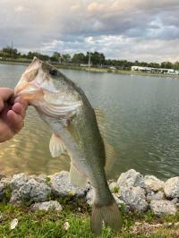 1972 RIDG Mobile Home