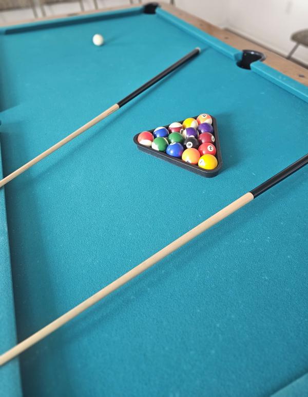 1971 ELDO Mobile Home For Sale