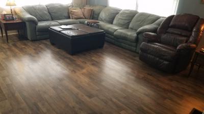 Photo 5 of 8 of home located at 115 Diogenes St Dunedin, FL 34698