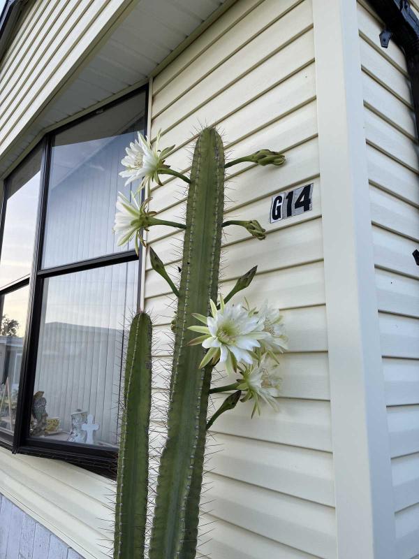 1983 2BD/1BA Mobile Home