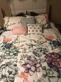 1983 2BD/1BA Mobile Home