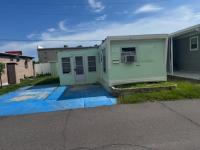 1964 Skyline Manufactured Home