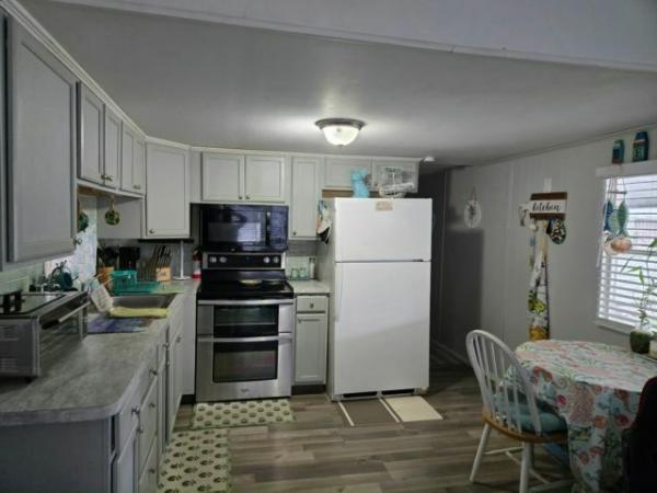 1970 SKYL Manufactured Home