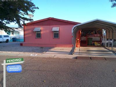 Mobile Home at 750 E Stillwater Ave #130 Fallon, NV 89406