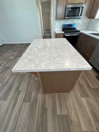 2025 Skyline Amber Cove 4604 CTC Manufactured Home