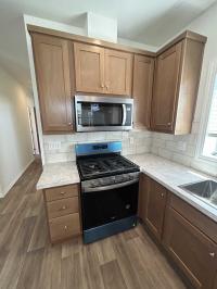 2025 Skyline Amber Cove 4604 CTC Manufactured Home