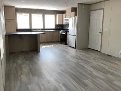 Mobile Home at 597 Triann Dr. SE Grand Rapids, MI 49548