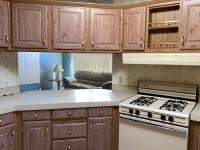 1990 Skyline ab Mobile Home